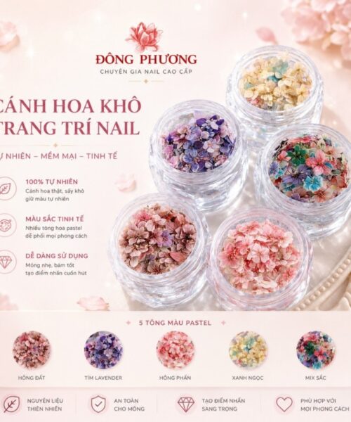Hoa khô trang trí nails nghệ thuật